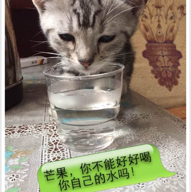埼玉大学文凭购买